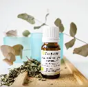 menthe poivrée 1.webp