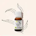 Huile essentielle d’Eucalyptus radié bio – 10 ml