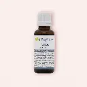 Macérat de Bourgeons de Cassis Bio – Bioflore (30 ml)