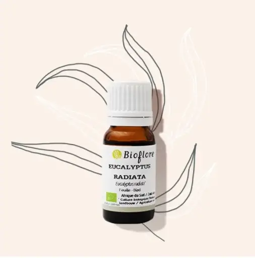 [HEEURA10] Huile essentielle d’Eucalyptus radié bio – 10 ml